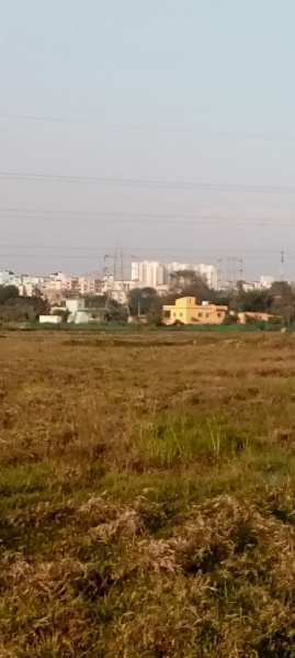  Residential Plot 1200 Sq.ft. for Sale in Patrapada, Bhubaneswar