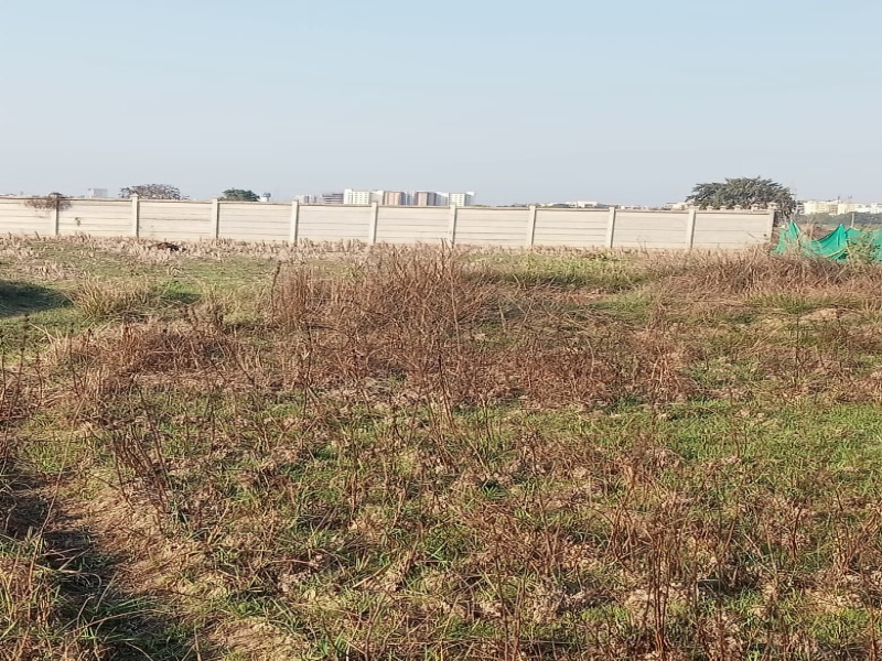  Residential Plot 1200 Sq.ft. for Sale in Patrapada, Bhubaneswar
