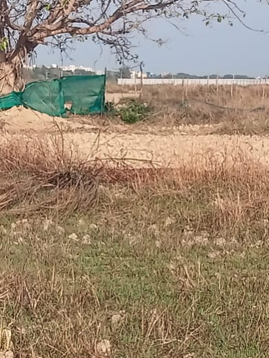  Residential Plot 1200 Sq.ft. for Sale in Balianta, Bhubaneswar
