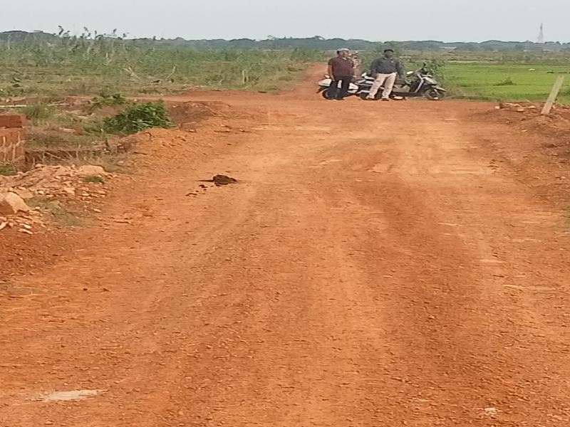  Residential Plot 12000 Sq.ft. for Sale in Khandagiri, Bhubaneswar