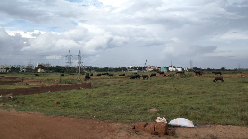  Residential Plot 1200 Sq.ft. for Sale in Balianta, Bhubaneswar