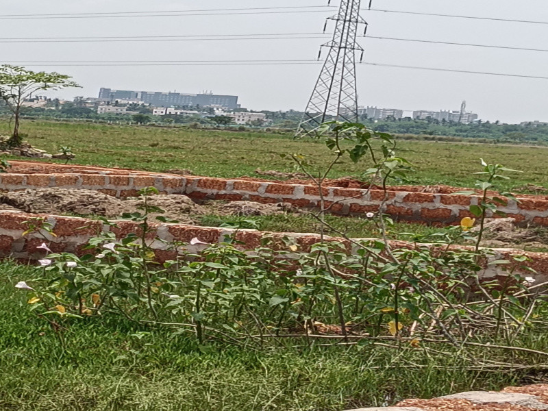  Residential Plot 1500 Sq.ft. for Sale in Khandagiri, Bhubaneswar