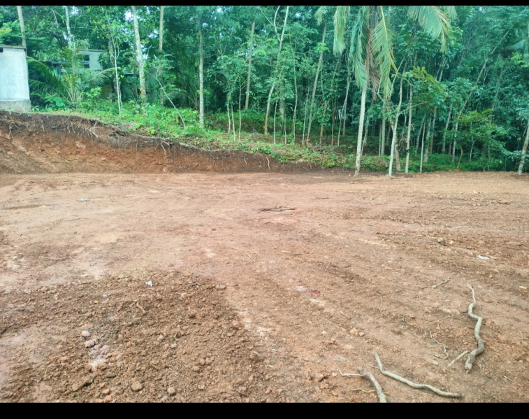  Residential Plot 10 Cent for Sale in Kadakkal, Kollam