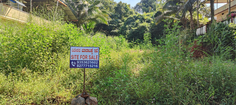  Residential Plot 10 Cent for Sale in Beltangadi, Dakshin Kannad