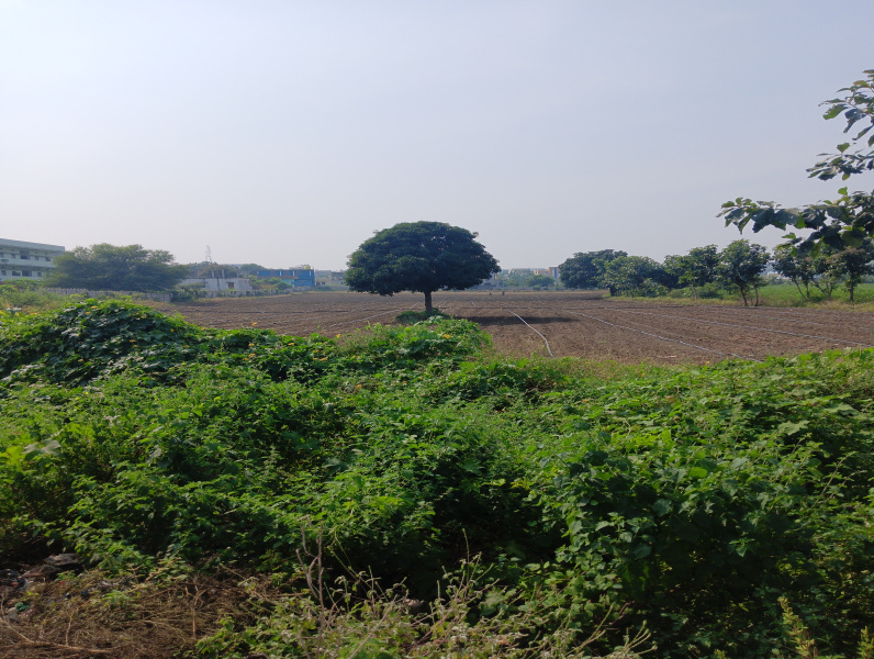  Residential Plot 11 Acre for Sale in Aurad, Bidar