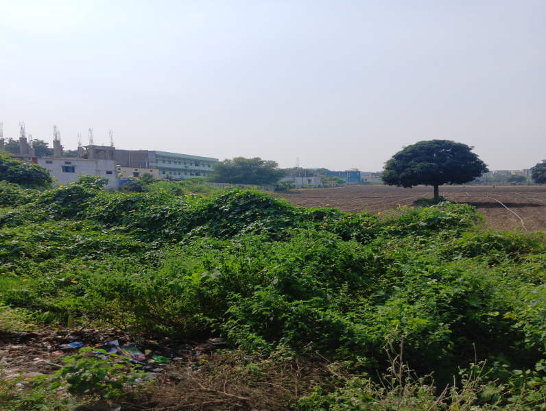  Residential Plot 11 Acre for Sale in Aurad, Bidar