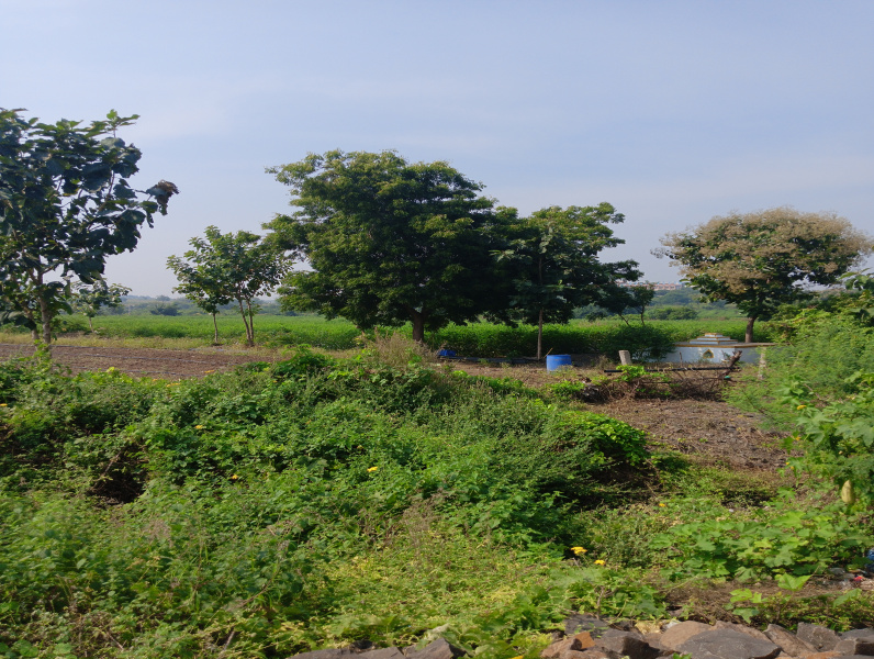  Residential Plot 11 Acre for Sale in Aurad, Bidar