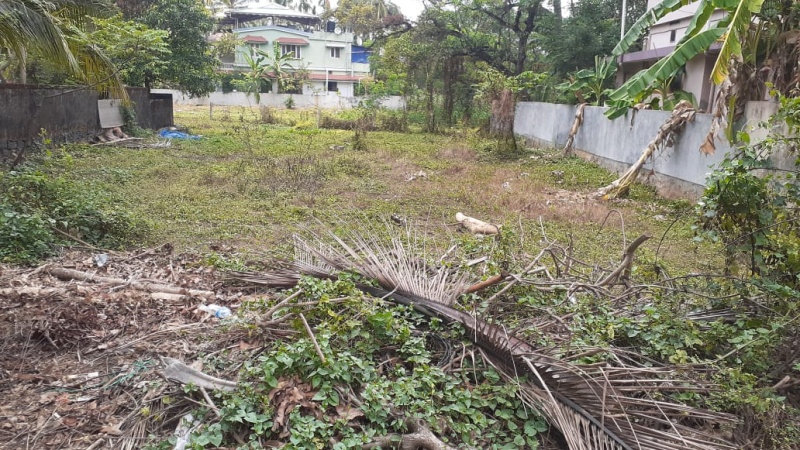  Residential Plot 10 Cent for Sale in Mukkattukara, Thrissur