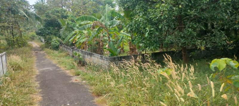  Residential Plot 10 Cent for Sale in Kolazhy, Thrissur