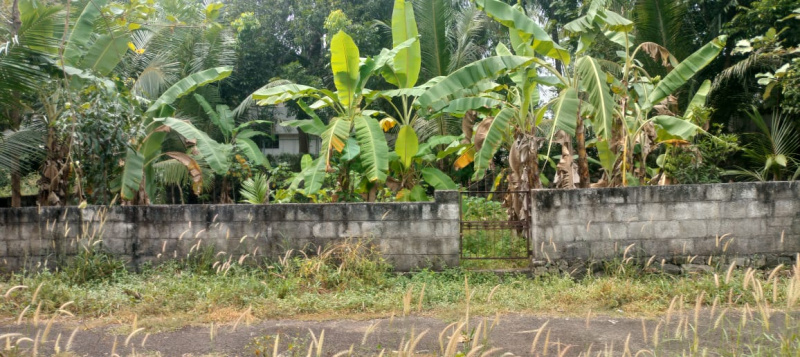  Residential Plot 10 Cent for Sale in Kolazhy, Thrissur