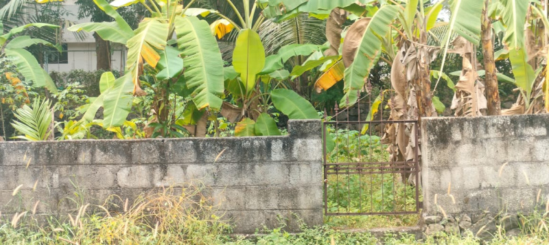  Residential Plot 10 Cent for Sale in Kolazhy, Thrissur