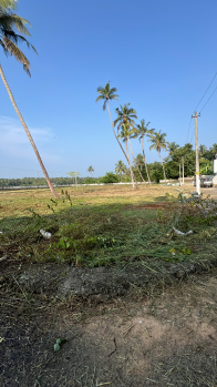  Residential Plot for Sale in Mundupalam, Thrissur