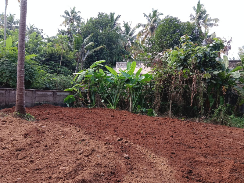  Residential Plot 8 Cent for Sale in Chiyyaram, Thrissur