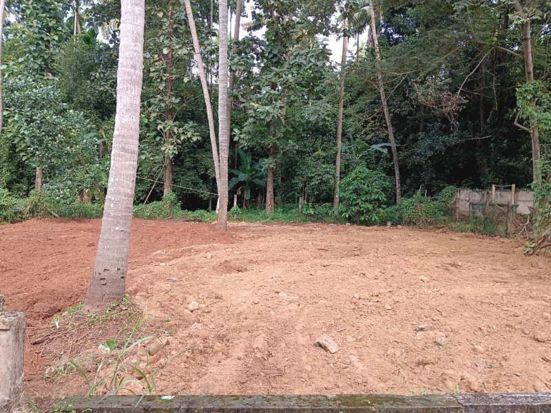  Residential Plot 8 Cent for Sale in Chiyyaram, Thrissur