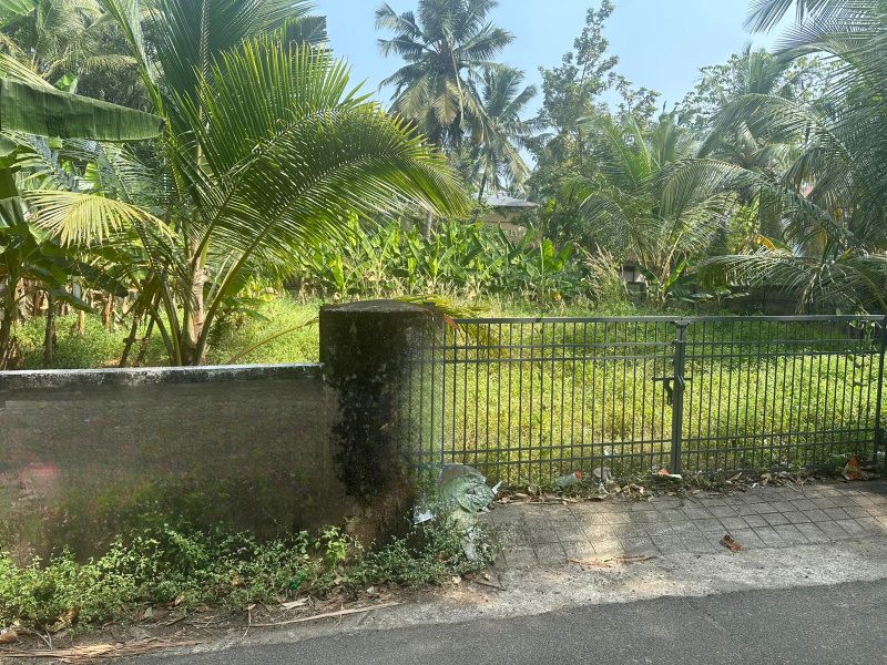  16 Cent Residential Plot for Sale in Kuttanellur, Thrissur