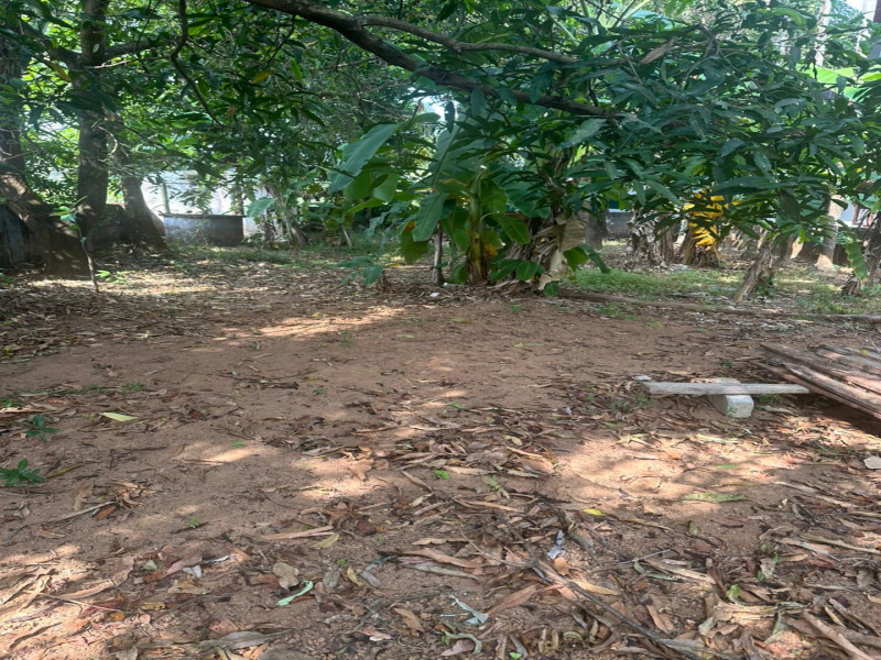  8 Cent Residential Plot for Sale in vyloppilly nagar Thrissur