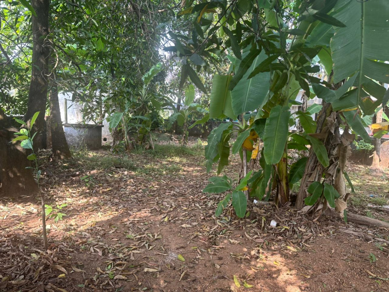  8 Cent Residential Plot for Sale in vyloppilly nagar Thrissur