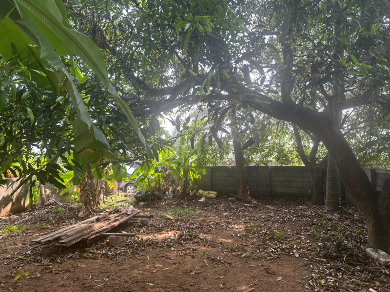  8 Cent Residential Plot for Sale in vyloppilly nagar Thrissur