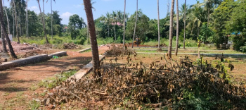 Residential Plot for Sale in Mannuthy, Thrissur