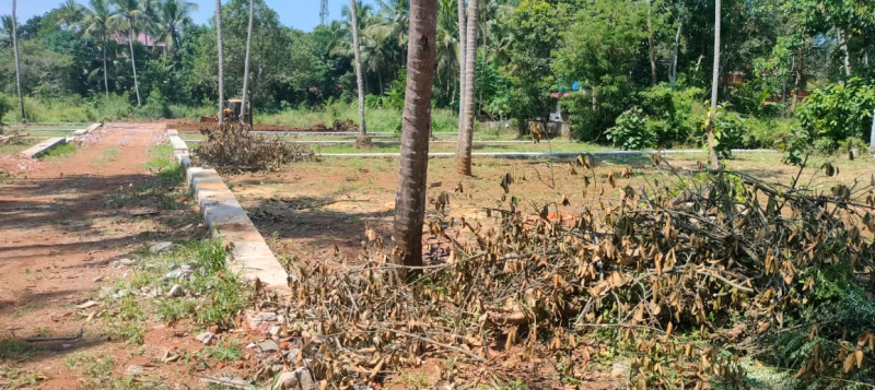  9 Cent Residential Plot for Sale in Mannuthy, Thrissur