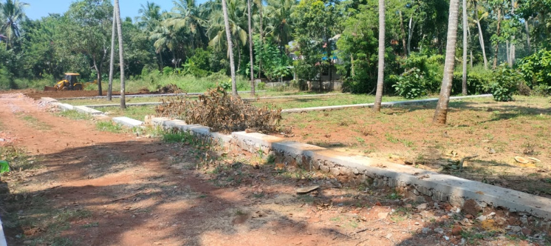  9 Cent Residential Plot for Sale in Mannuthy, Thrissur
