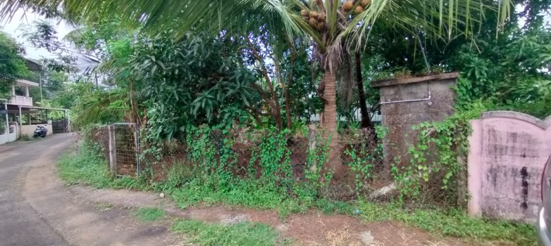  7 Cent Residential Plot for Sale in Villadam, Thrissur