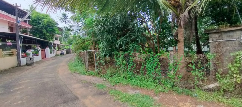  7 Cent Residential Plot for Sale in Villadam, Thrissur