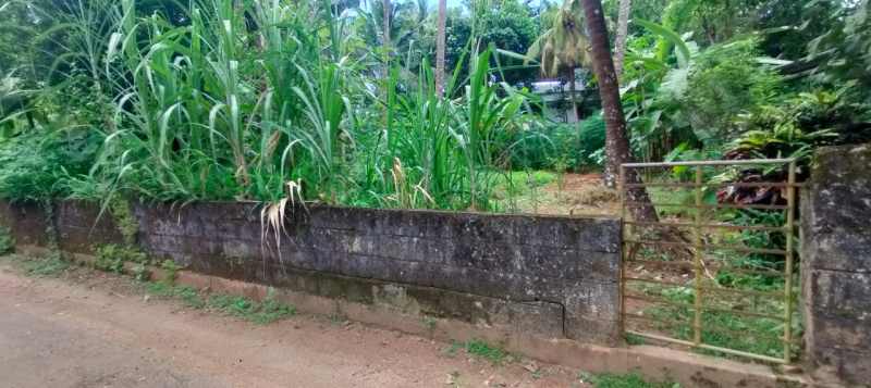  13 Cent Residential Plot for Sale in Viyyur, Thrissur