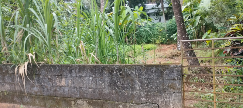  13 Cent Residential Plot for Sale in Viyyur, Thrissur