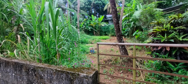  13 Cent Residential Plot for Sale in Viyyur, Thrissur