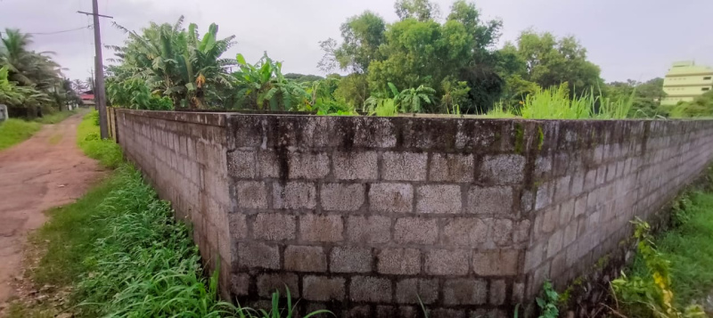  7 Cent Residential Plot for Sale in Punkunnam, Thrissur