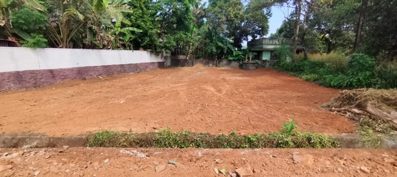  8 Cent Residential Plot for Sale in Ollur, Thrissur