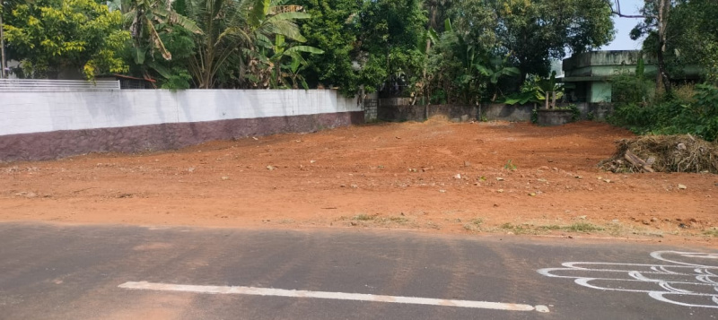  8 Cent Residential Plot for Sale in Ollur, Thrissur