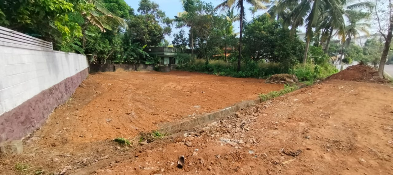  8 Cent Residential Plot for Sale in Ollur, Thrissur