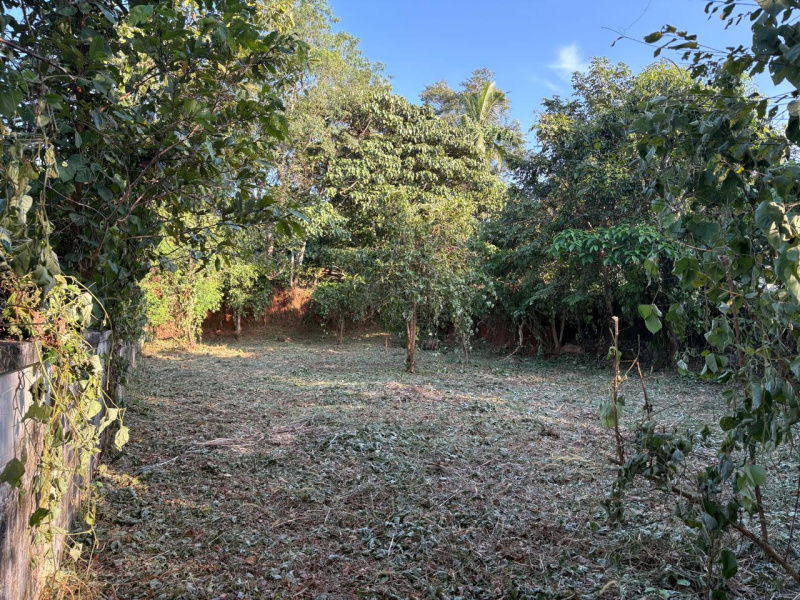  10 Cent Residential Plot for Sale in Velappaya, Thrissur