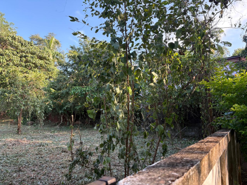  10 Cent Residential Plot for Sale in Velappaya, Thrissur