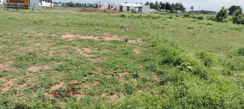  Residential Plot 2000 Sq.ft. for Sale in Dharapuram, Tirupur