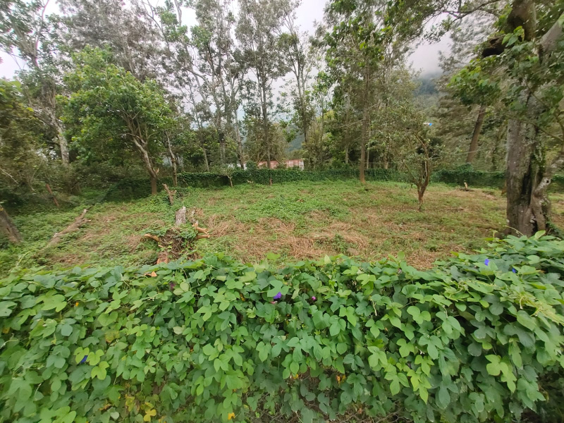  Agricultural Land 20 Cent for Sale in Bodinayakkanur, Theni