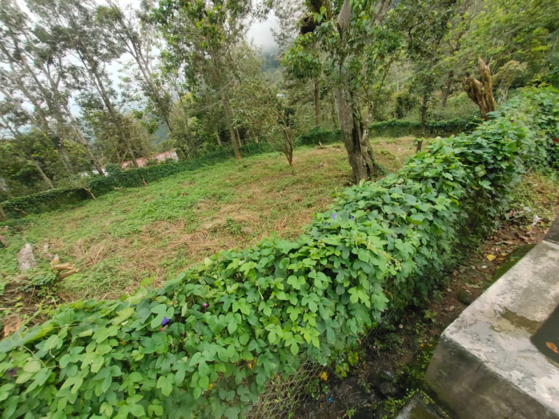  Agricultural Land 20 Cent for Sale in Bodinayakkanur, Theni