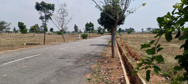  Residential Plot 1200 Sq.ft. for Sale in Devanahalli, Bangalore