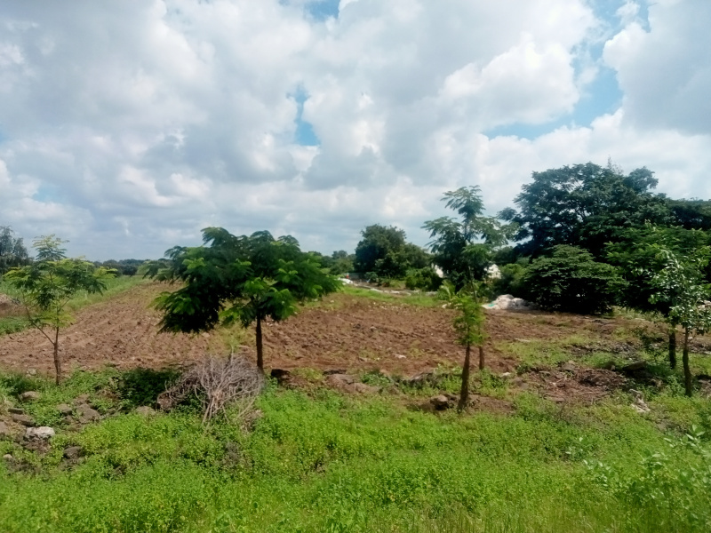  Residential Plot 2 Ares for Sale in Toravi, Bijapur