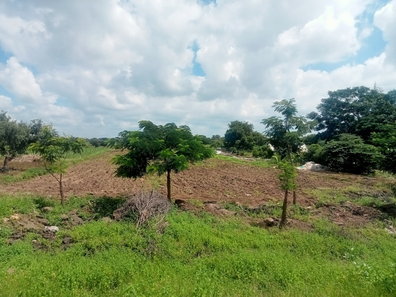  Residential Plot 2 Ares for Sale in Toravi, Bijapur