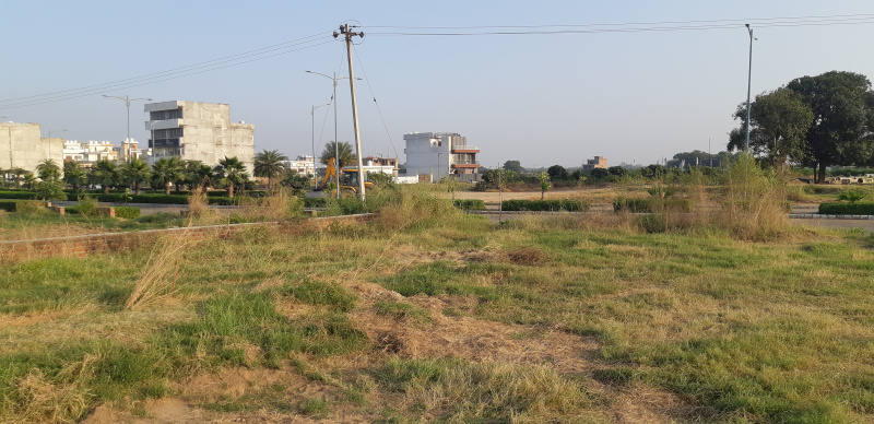  Residential Plot 265 Sq. Yards for Sale in Mullanpur, Mohali