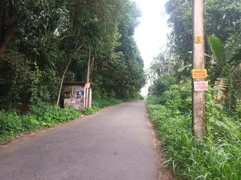  Residential Plot for Sale in Kechery, Thrissur