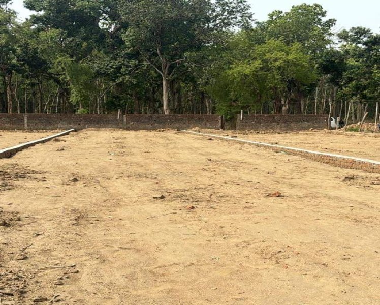  Residential Plot 2000 Sq.ft. for Sale in Jangal Kauria, Gorakhpur