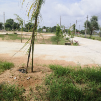  Residential Plot for Sale in Reengus, Sikar