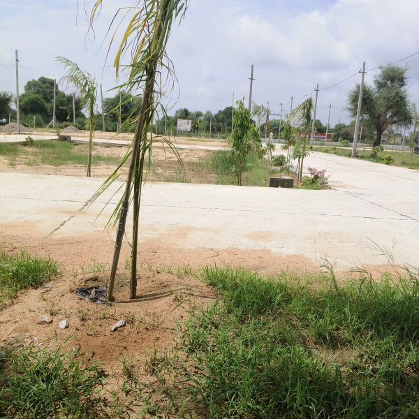  Residential Plot 100 Sq.ft. for Sale in Reengus, Sikar
