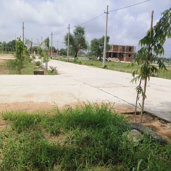  Residential Plot 100 Sq.ft. for Sale in Reengus, Sikar