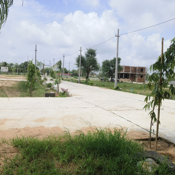  Residential Plot 100 Sq.ft. for Sale in Reengus, Sikar