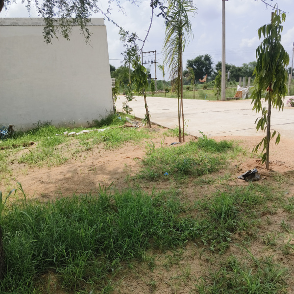  Residential Plot 100 Sq. Yards for Sale in Reengus, Sikar